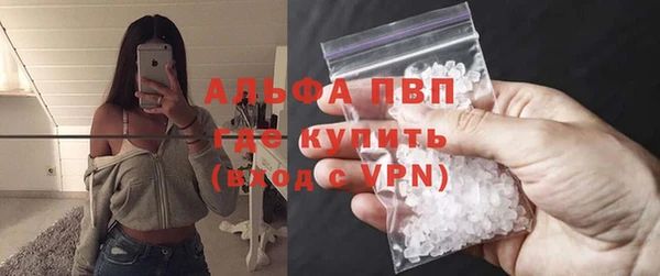 эйфоретик Касимов