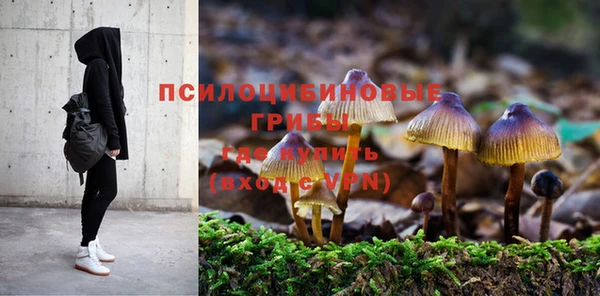 эйфоретик Касимов