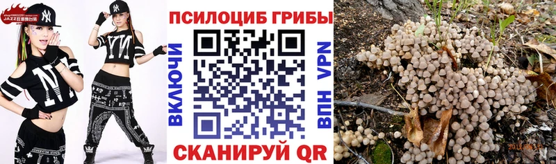 Купить где  Лесной  Галлюциногенные грибы мухоморы 